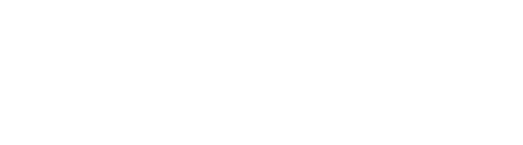 Bimesur